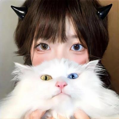 热血废柴中介第三季